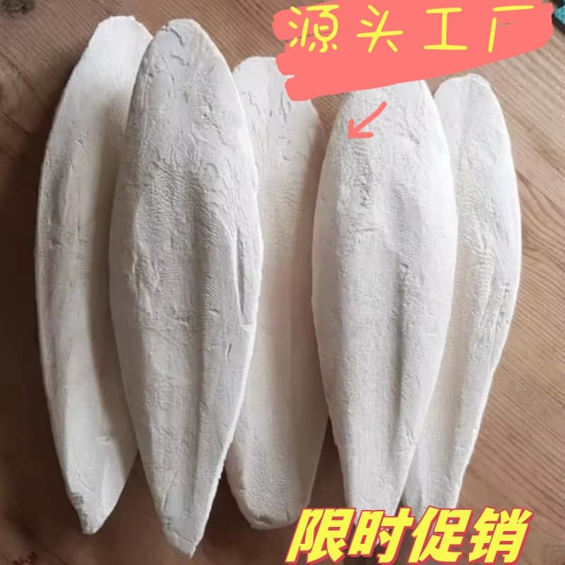 Factory Direct Premium Cuttlefish Bone - Polished, Desalted, Pet Bird Snack, Reptile Chewing Toy