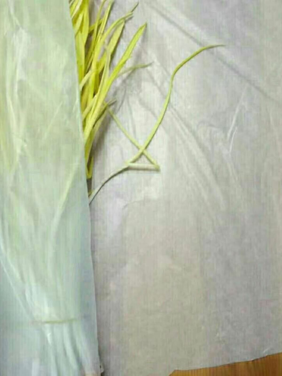 Cabbage Paper Fruit and Vegetable Wrapping Paper Refrigerator Storage Fresh-Keeping Paper Clean Translucent Paper Good Toughness Odorless