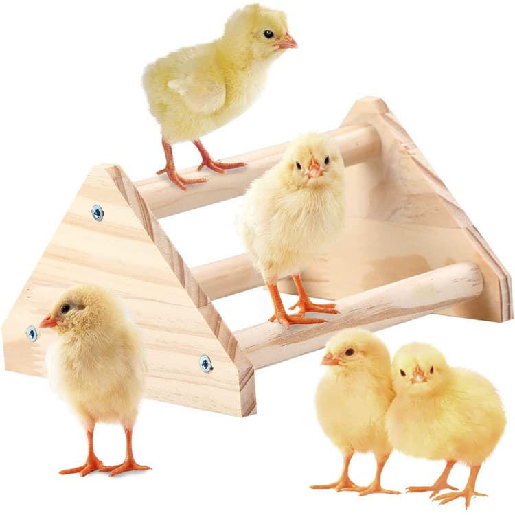 Wooden chicken habitat toy Wooden jungle gym chicken pole Pangwu chicken off-the-ground stand