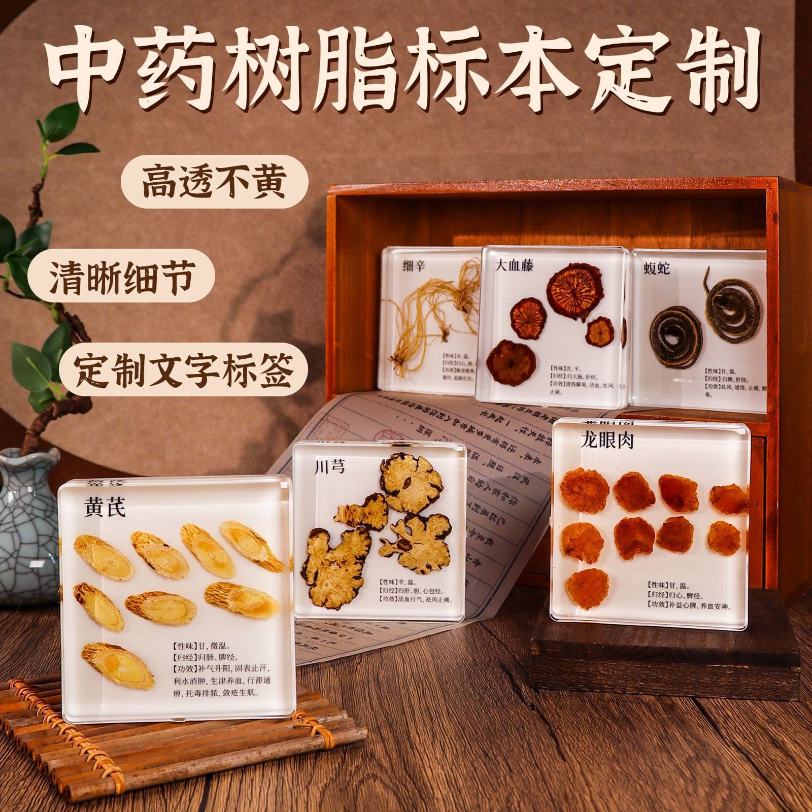 Customized middle school curriculum Chinese herbal medicine specimens like goji berries, ginseng, angelica, and black sesame, serving as creative teaching aids.