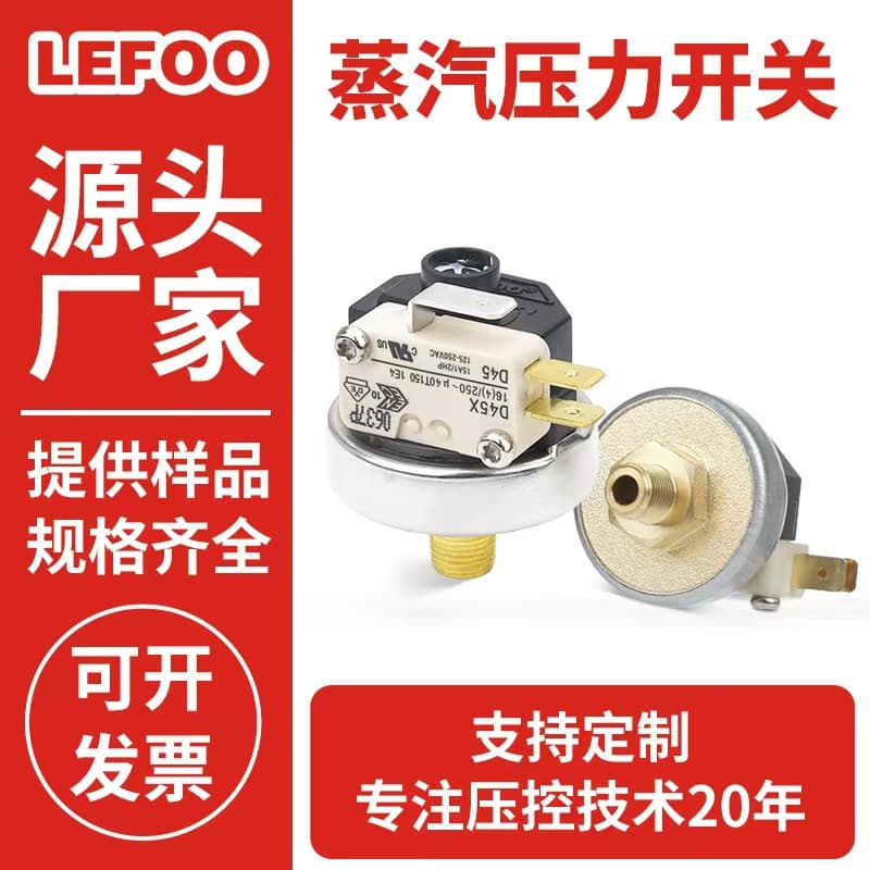 LEFOO LF25 Steam Cleaner Iron Steamer Coffee Machine Air Water Pressure Switch Controller