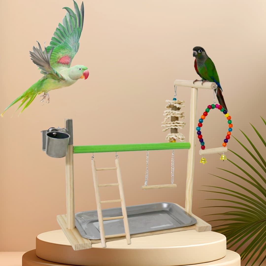 Bird Stand Solid Wood Sanded Perch Parrot Toy Swing Climbing Ladder Training Educational Wooden Parrot Stand