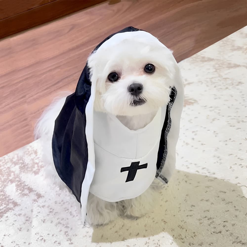 Cat Nun Costume, Funny Cosplay Outfit for Cats and Dogs, Photo Prop for Small and Medium Pets, Hilarious Cat Clothing