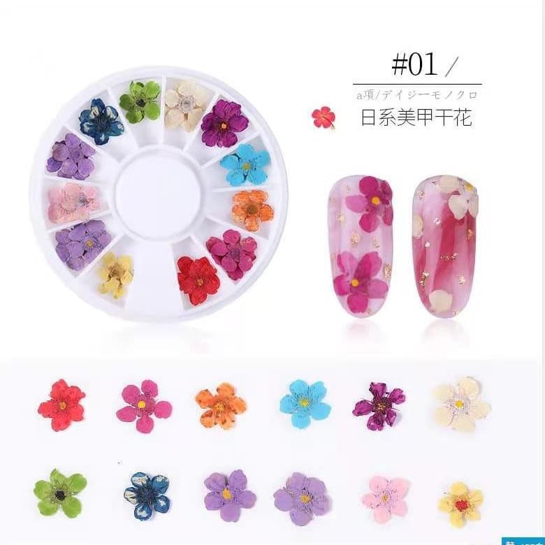 Tree Flower Five-Point Star Flower Japanese Nail Art Dried Flower DIY Sticker Face Makeup Petal Makeup Five-Petal Flower Pressed Flower Factory Direct