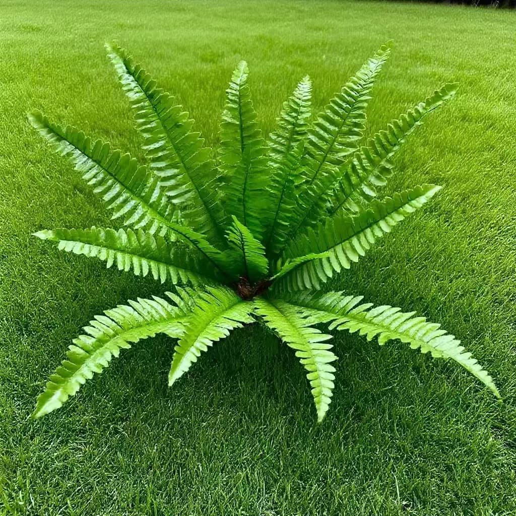 Artificial Plant Decoration Green Artificial Persian Leaf Fern Imitation Grass Wall Hanging Indoor Green Background Wall Decor