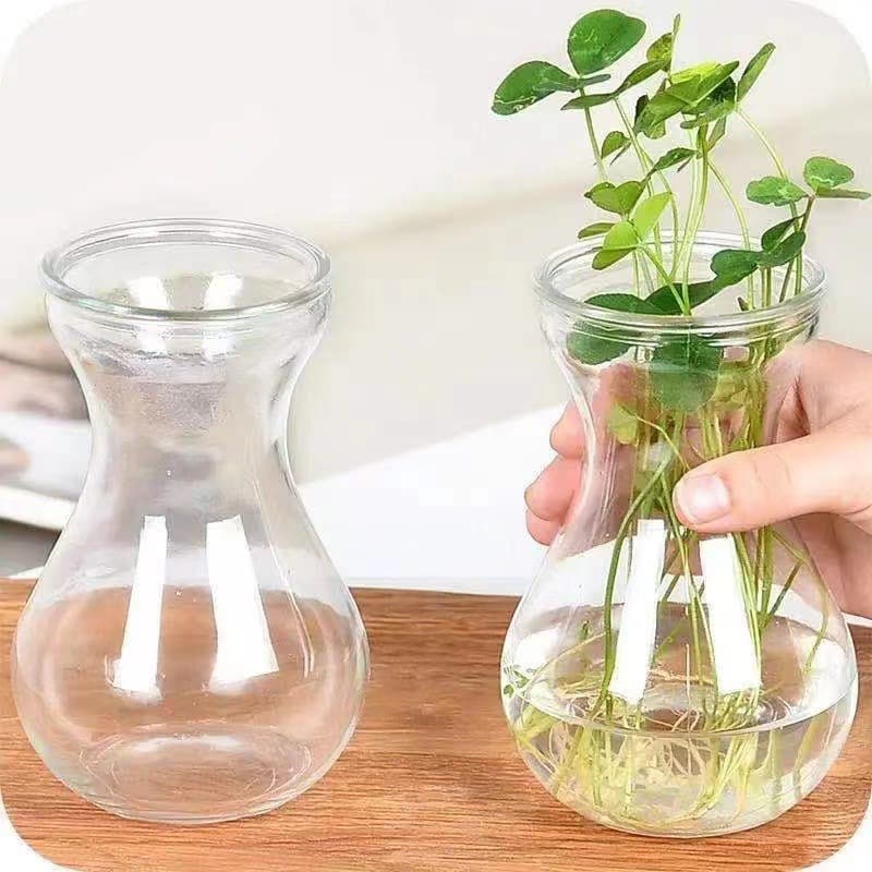 Hyacinth vase glass bottle hydroponic vase flower glass transparent vase pothos hanging basket container glass flower arrangement