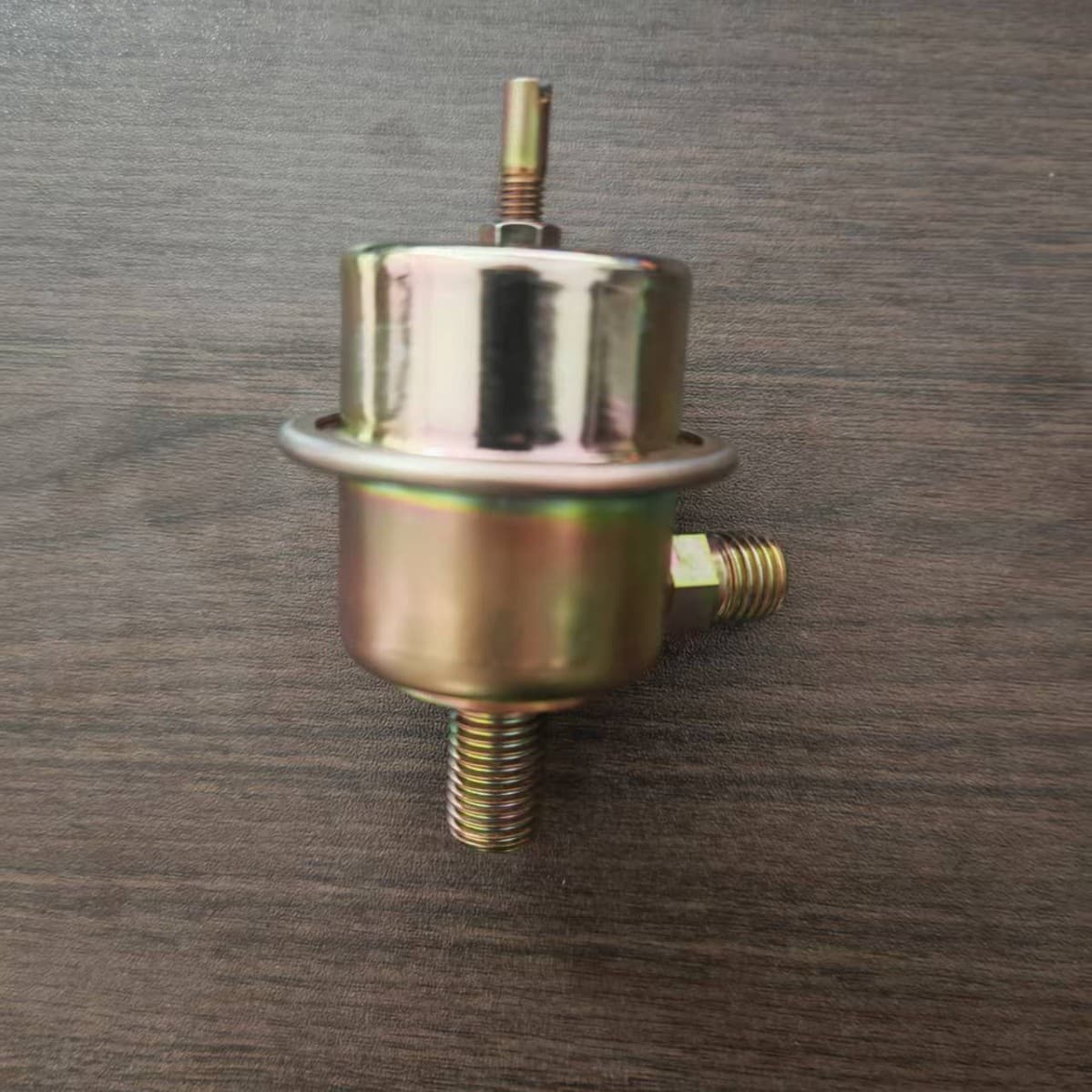 Factory direct 0280161007 fuel pressure damper for Mercedes, Porsche