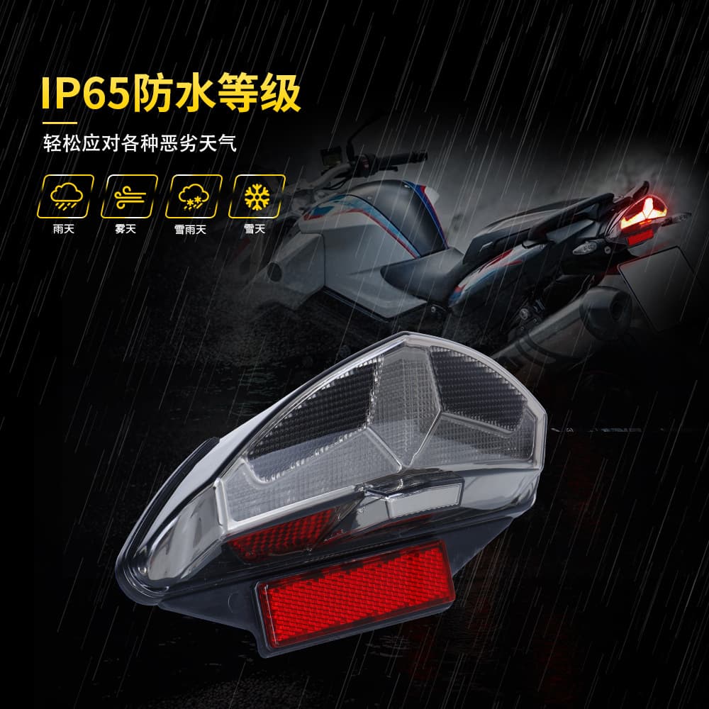 LED Tail Light for BMW Motorcycle R1200GS/Dakar G650GS F800 R/S/ST