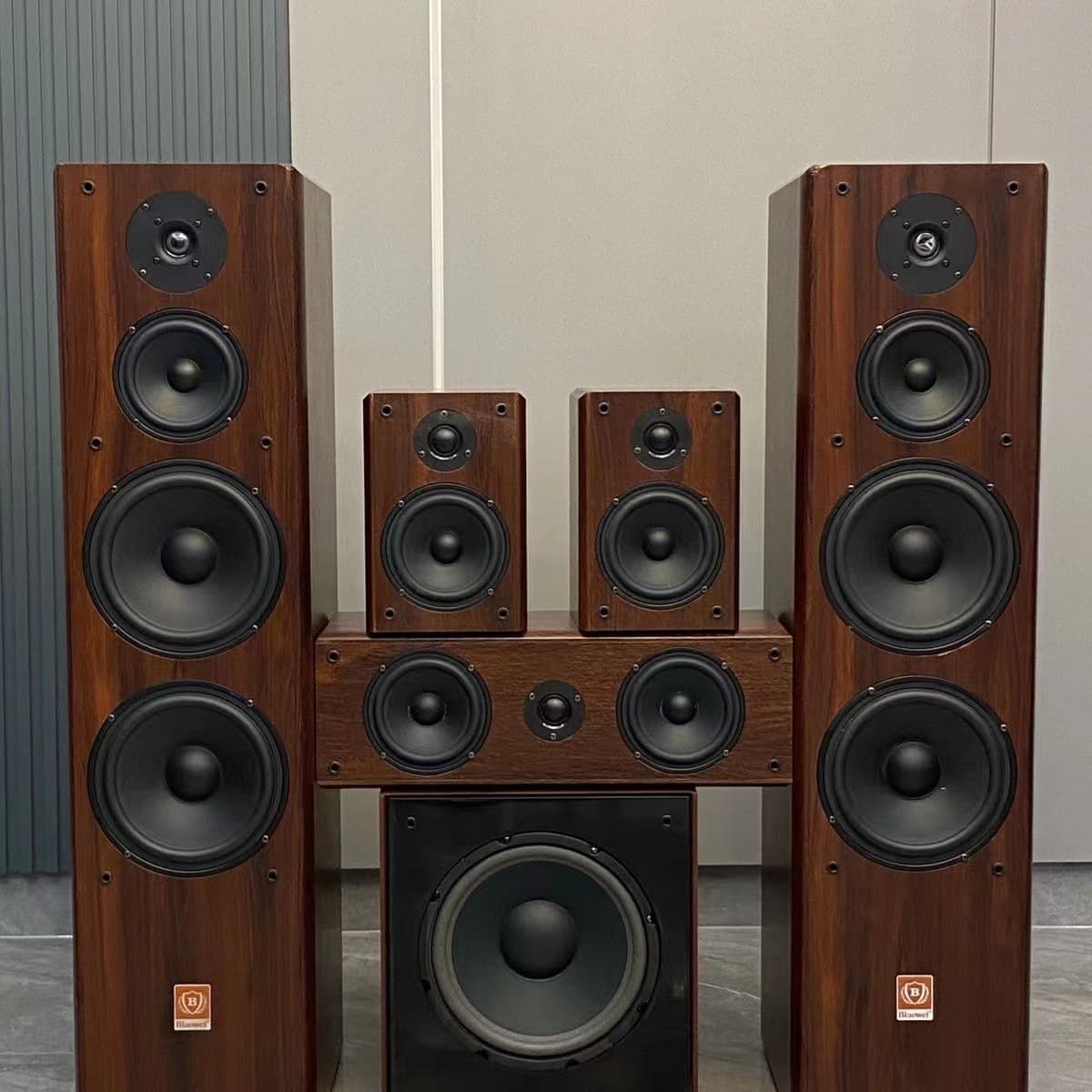 Biaowei BW2838 6-Piece Set 5.1 Factory Direct Home Living Room Speaker Bookshelf Speaker KTV Speaker Driver Unit