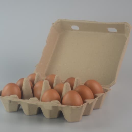 Factory Pulp Egg Boxes, 12-Count Egg Transport Packaging, 3x4 Biodegradable Pulp Egg Cartons