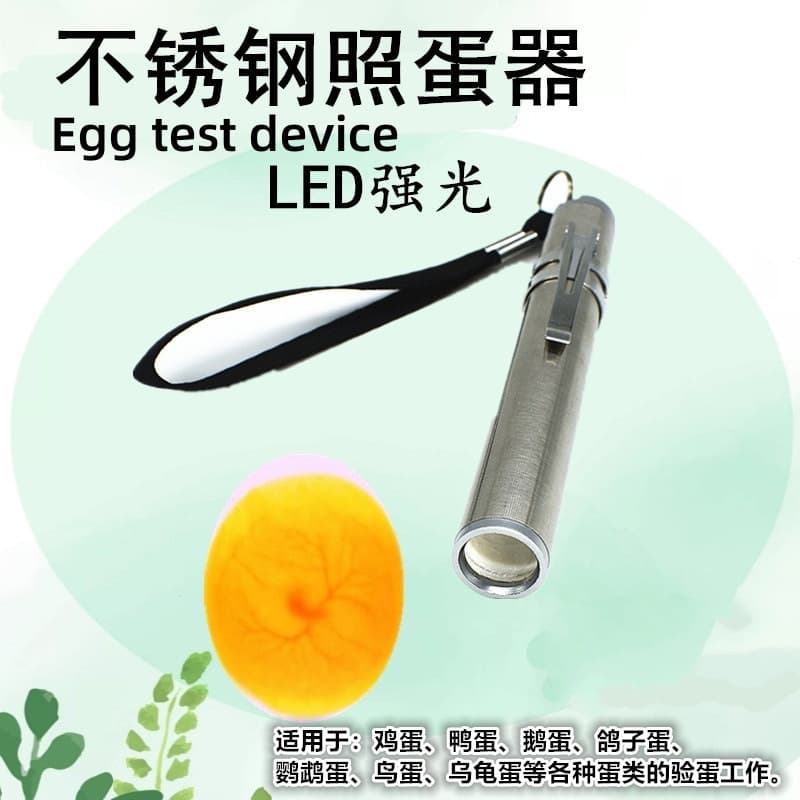 Pigeon Egg Candler LED Flashlight for Duck, Parrot, Small Bird, Chicken, and Pigeon Eggs to Check Blood Vessels