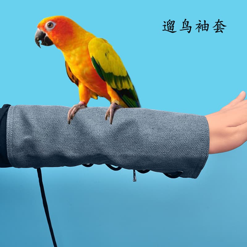 Parrot Pet Arm Guards, Anti-Scratch, Wear-Resistant Sleeves, Pockets, Anti-Dirty Diapers, Bird Supplies for Walking Birds When Out and About