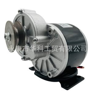Lingying 12V 250W Brushed Gear Motor MY1016Z2 Unite Same Model Short Shaft with Foot and Pulley