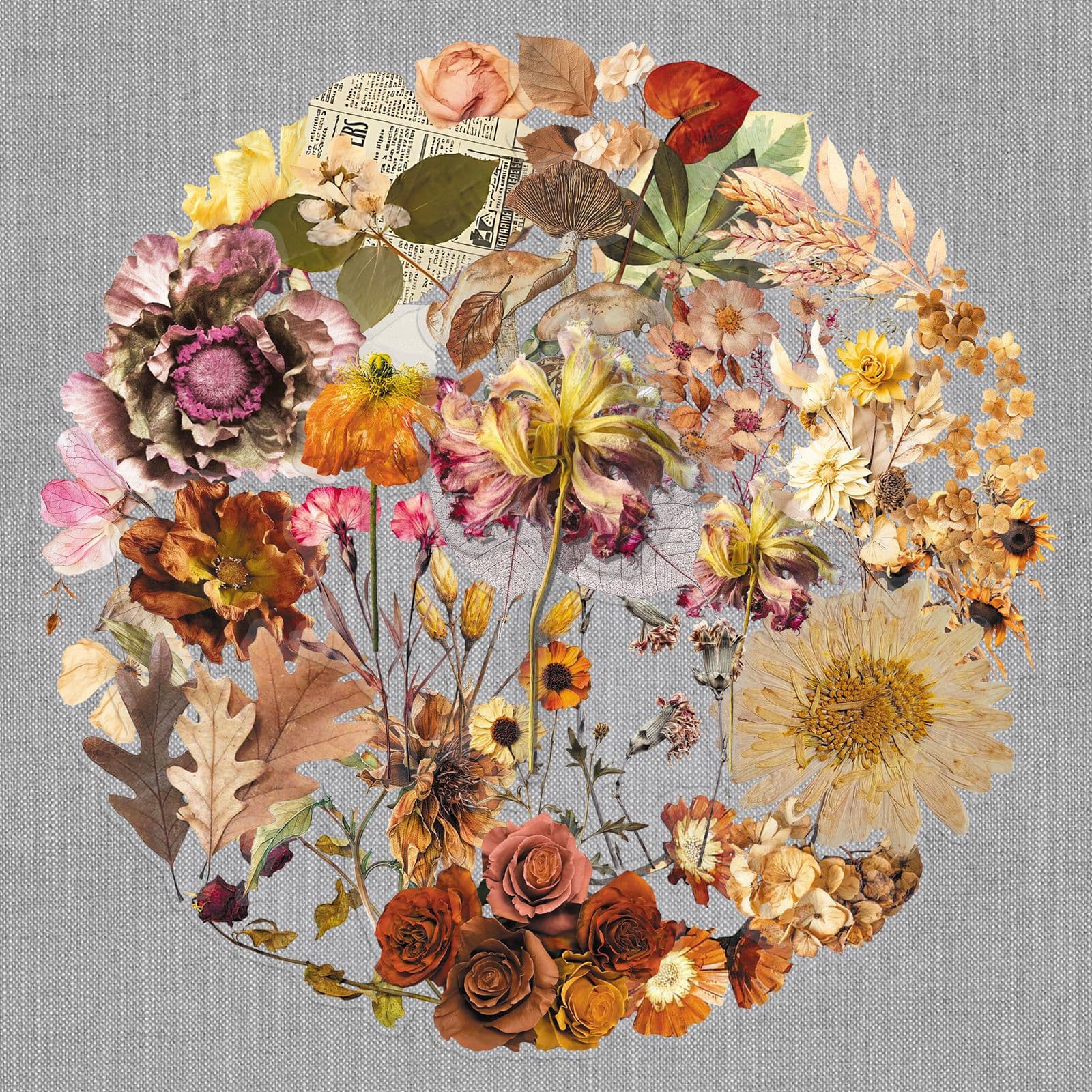 50 transparent dry plant stickers realistic dry flower forest retro PET waterproof decorative handbook material stickers