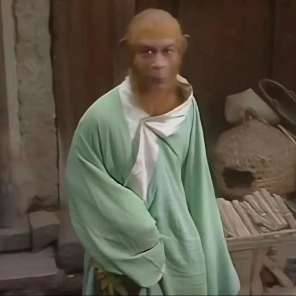 Sun Wukong Style Green Robe Long Gown Pajamas Monkey King Homewear Cotton Padded Funny