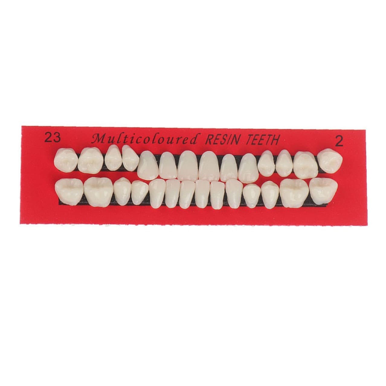 Cross-Border Hot-Selling Dental Oral Materials Teaching Mold with 28 Dentures for Students to Practice Plastic Teeth