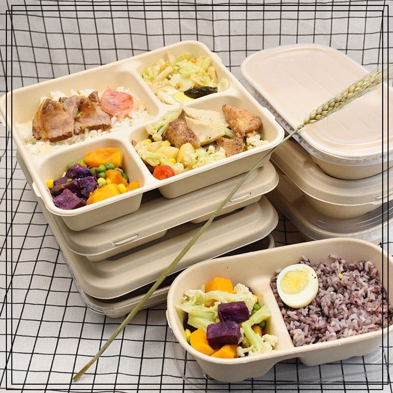 Paper pulp lunch box, disposable lunch box, three-compartment, four-compartment, multi-compartment, biodegradable take-out lunch box, fast food packaging box