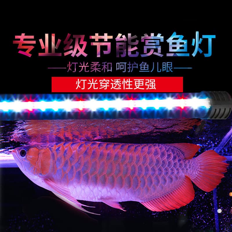 Aquarium Light Wholesale Full Spectrum Colorful Brightening LED Waterproof Submersible Fish Tank Light for Aquatic Plants and Arowana