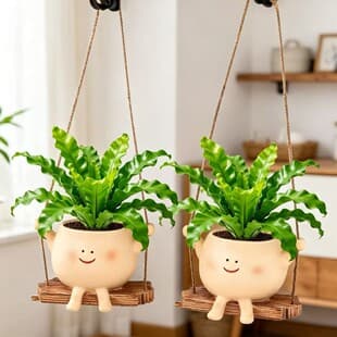 Swing Smile Flower Pot for Green Plants, Suitable for Wall or Desktop Placement, Easy to Care for and Versatile for Indoor Living Room and Study