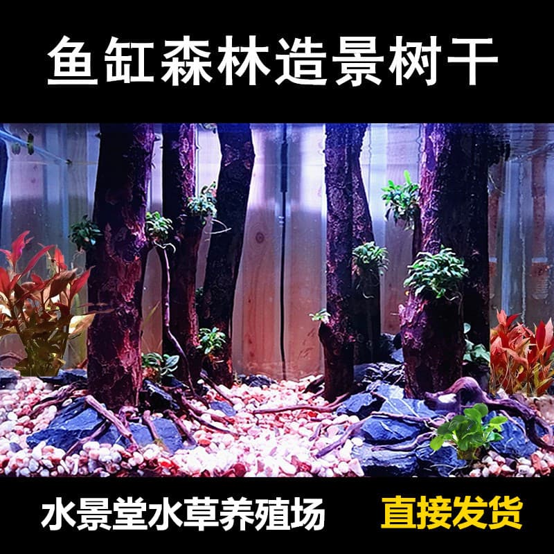 Aquarium Driftwood Forest, Tree Trunk, Aquatic Plant Landscaping, Cedar and Mixed Wood, Rainforest Tank, Turtle Tank, Garden Decoration Wood, Branches