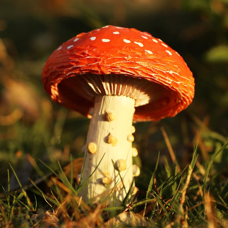 Outdoor Garden Decorations Ornaments Mushroom Micro Landscape Potted Plants Yard Mushroom Decorative Miniature Scenery
