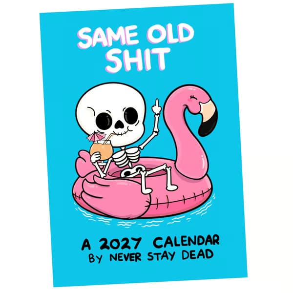 New 2027 Wall Calendar - Fun and Delightful Design