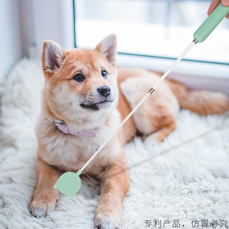 Dog Training Stick, Pet Love Tap Training Tool, Dog Whip, Training Stick, Pet Supplies, Dog Stick for Training and Play