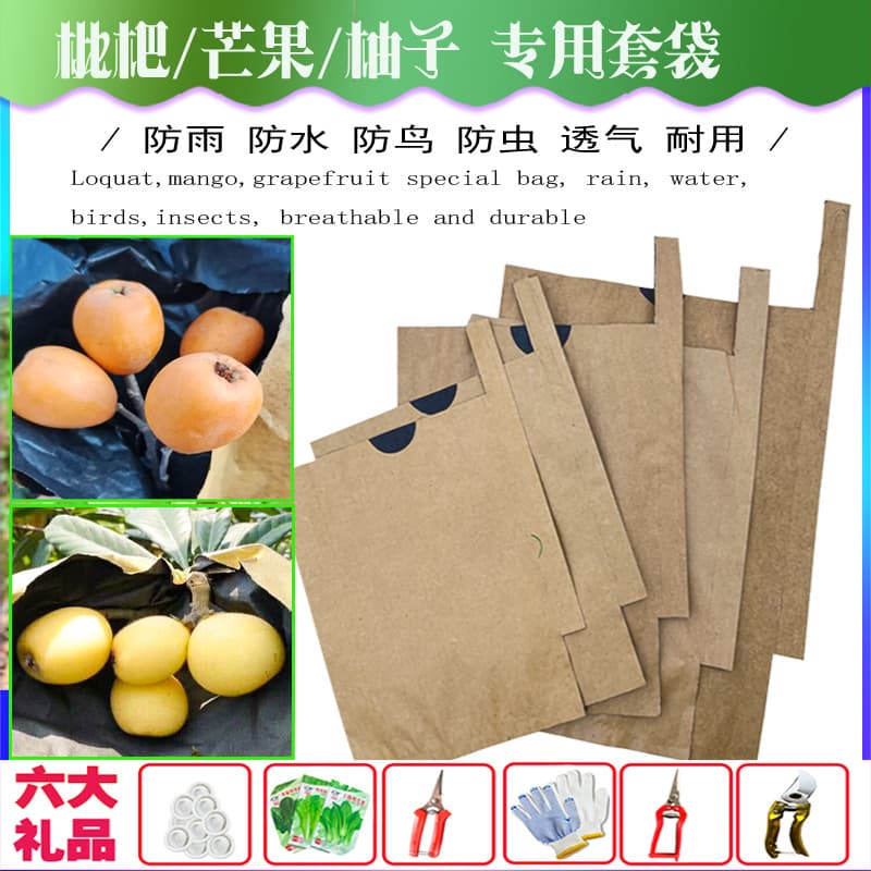 Specialized loquat bags, mango bags from manufacturer, fruit bags for insect, bird, water, and sun protection.