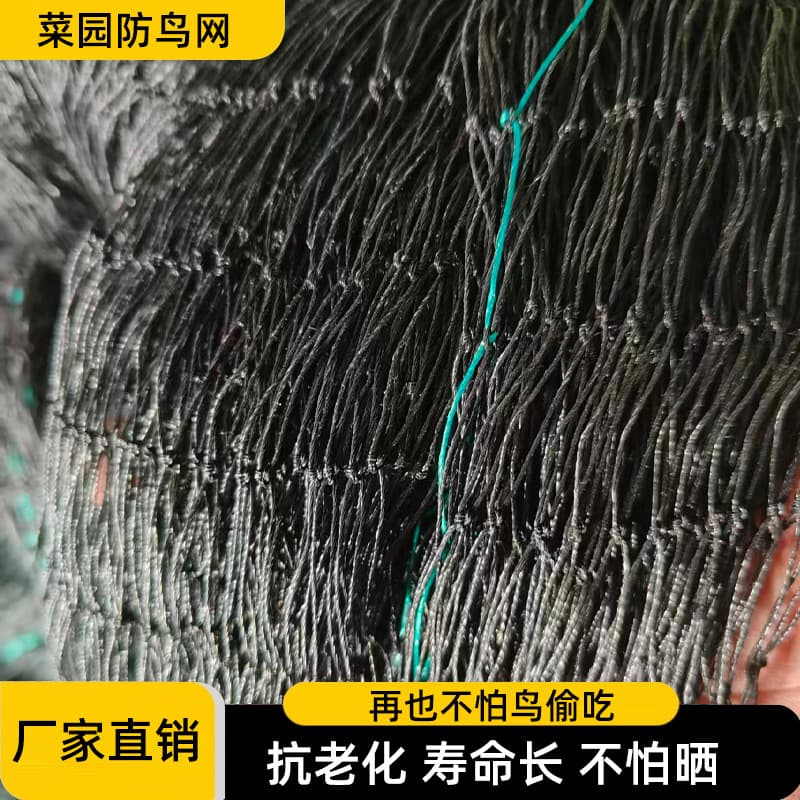PE Bird Netting Black Orchard Heavy-Duty Thickened Net Greenhouse Cross-Border Climbing Net Protection Net Mesh Windproof
