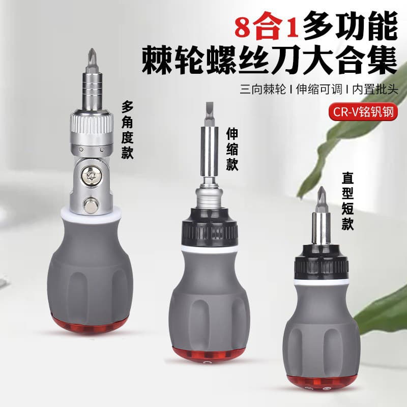 8-in-1 Ratchet Screwdriver Wrench, Chrome Vanadium Steel Torx Phillips Special Bits, Extendable Multi-Angle Repair Tool