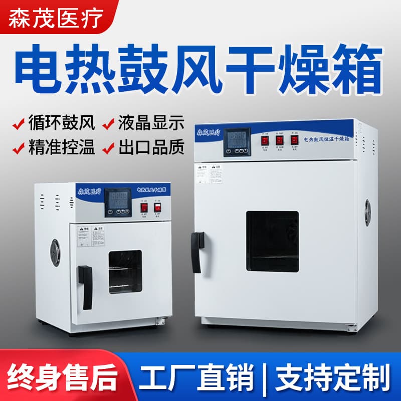 Electric Hot Air Constant Temperature Dryer, University Laboratory Drying Oven, Dual Centrifugal Fan, Food Fruit Dryer