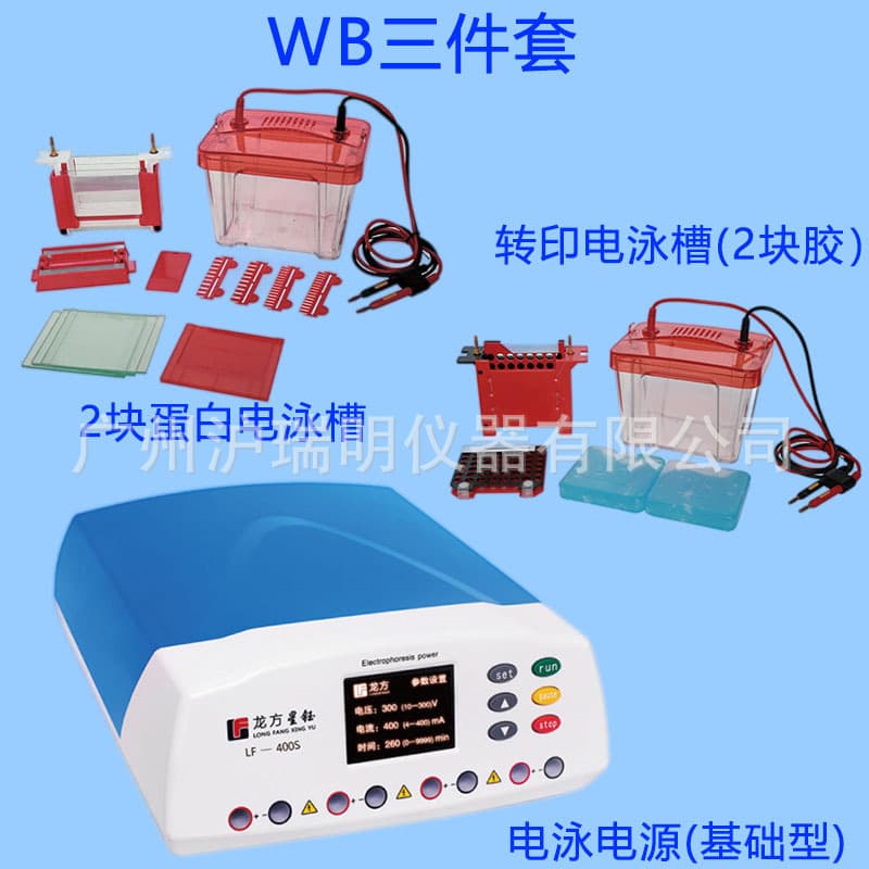 WB Experiment Electrophoresis Tank Three-Piece Set LF-400S+Mini2+ZY03 Transfer Power Supply Basic Set