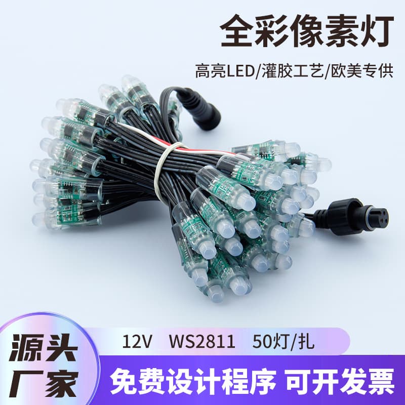 WS2811 12V Black Wire Glue-Filled Full-Color Exposed Light Outdoor Decorative Pixel Light Christmas Tree Advertising Dream Color Light String