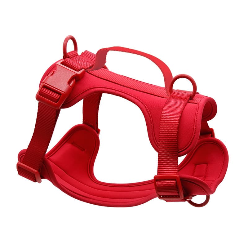 Wid One dog harness with anti-bite and escape protection, PVC pet leash, PVC collar.