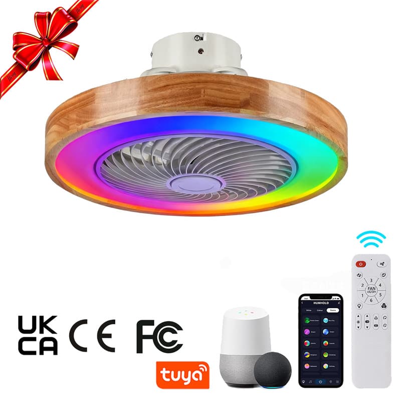 Ceiling Fan Light Cross-Border Modern Minimalist LED Fan Light New Bluetooth Speaker RGB Solid Wood Fan Light
