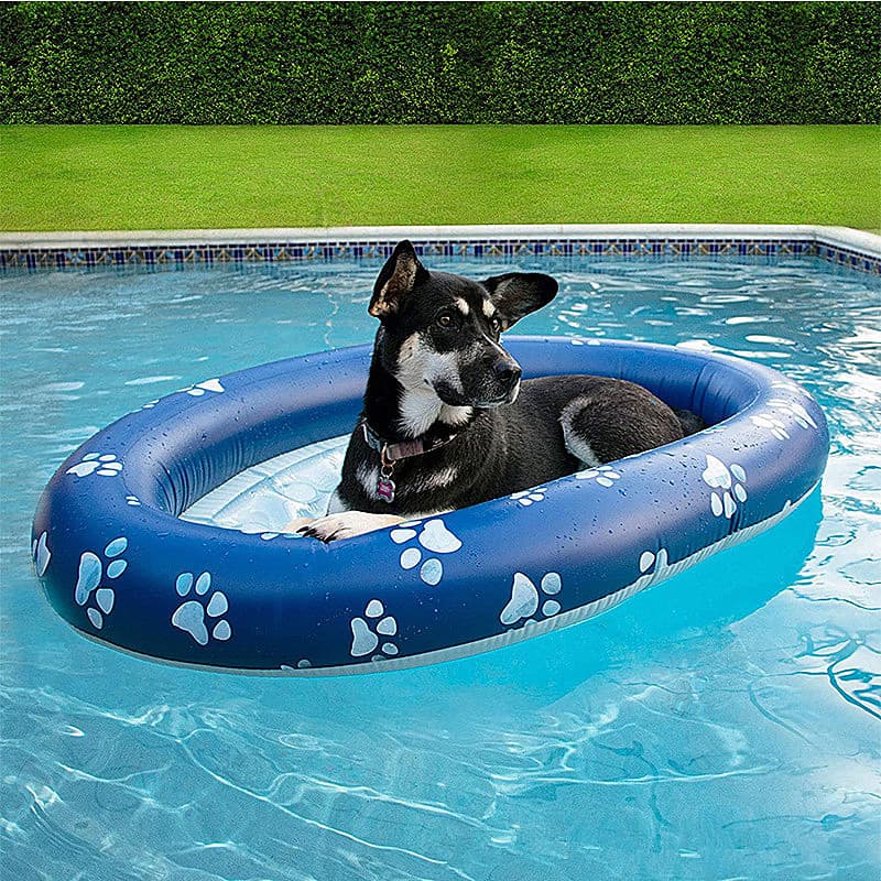 Custom PVC Inflatable Floating Raft Pool Float for Dogs and Puppies Large Pet Dog Cat Pool Float