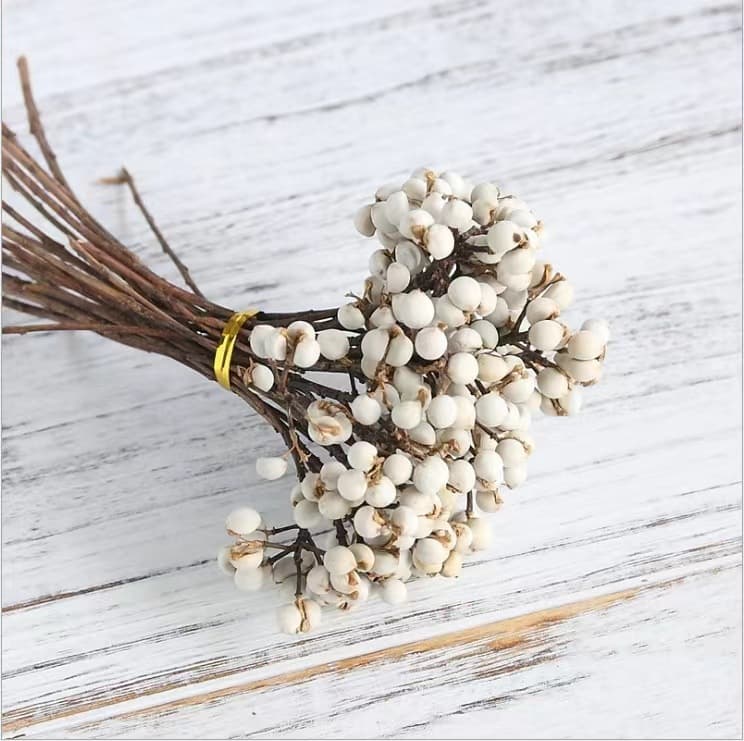 Small Ginkgo Dried Flower, Chinese Tallow Fruit, White Bean, Coix Seed Dried Fruit, Dried Flower Nordic Style Aromatherapy Decoration, Real Bouquet DIY Material