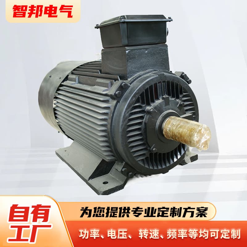 1000kW High-Efficiency Permanent Magnet Generator for Wind Power and Marine Backup, Customizable Permanent Magnet Generator