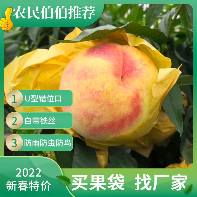 Special bagging system for peaches: Water-resistant and insect-proof bags for nectarines, yellow peaches, winter peaches, flat peaches, and golden plums.