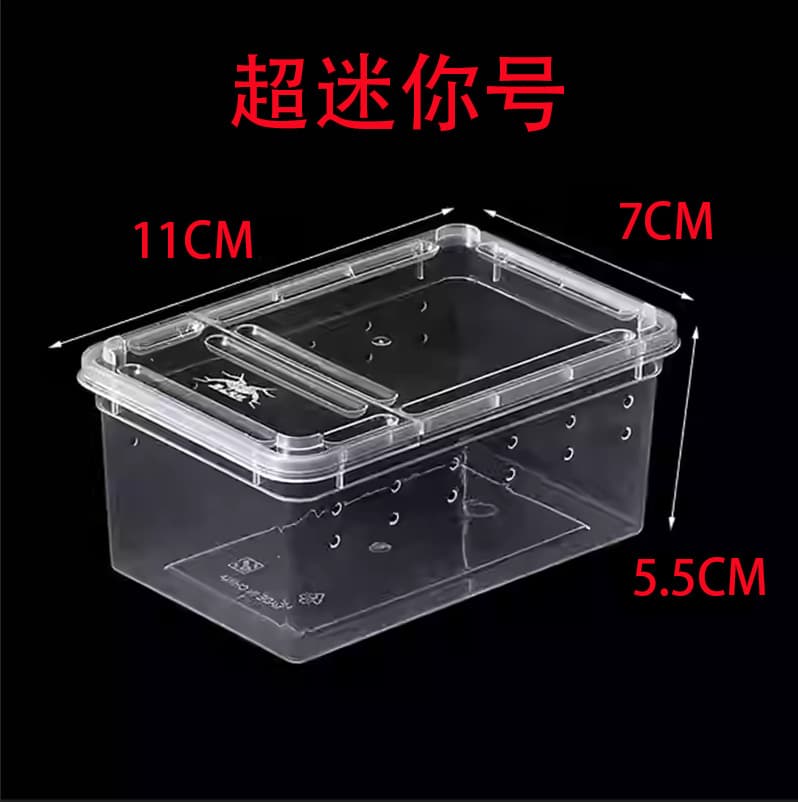 Spider Box Mantis Breeding Box Reptile Pet Box Frog Turtle Silkworm Observation Box Arboreal Box Terrestrial Box