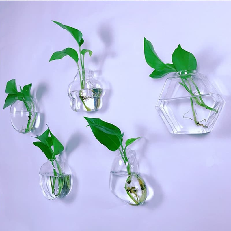 Wall-mounted Hydroponic Vase, Creative Transparent Glass Bottle, Hanging Fish Tank Style, Wholesale