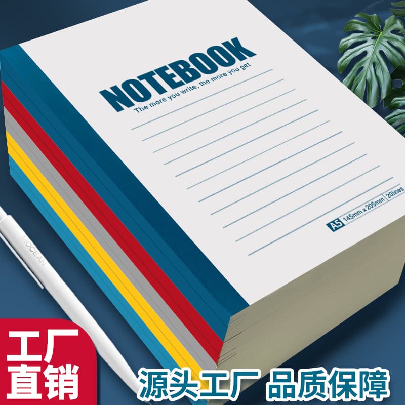 Thick Softcover Notebook, Office Diary, Student Postgraduate Entrance Exam Business Softcover Notepad, Journal Gift Book