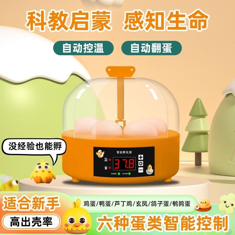 Small Household Smart Constant Temperature Incubator for Hatching Quail Eggs, Parrot Eggs, Automatic