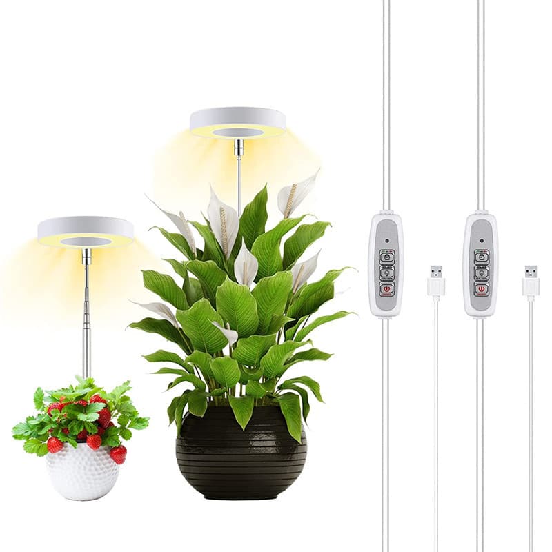 Amazon Bestseller Angel Ring Succulent Supplement Light Usb Colorful Full Spectrum Led Flower Potted Plant Growth Light