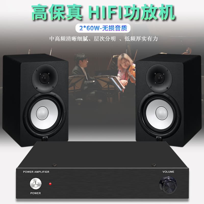 Mini HiFi Amplifier Audiophile Home Theater Audio Power Amplifier Home Digital Amplifier High Fidelity