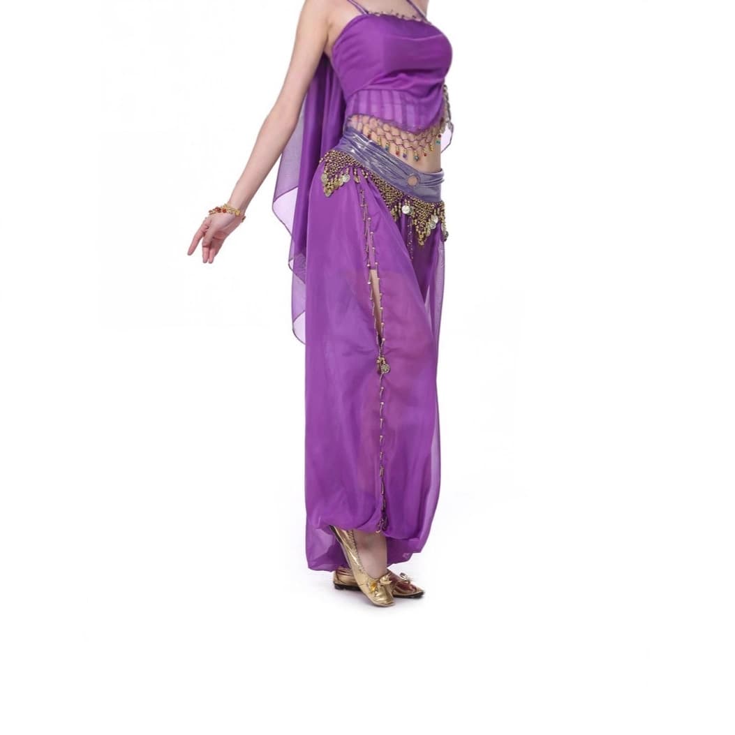 Dancer Hoop Lantern Pants Belly Dance Performance Dance Pants Belly Dance Pants