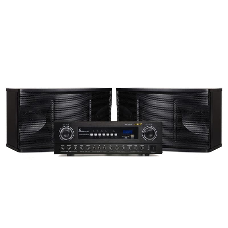 Professional KTV Karaoke Home Audio System High-Power 10-Inch Multimedia Conference Dance Studio Teaching Audio Equipment Set