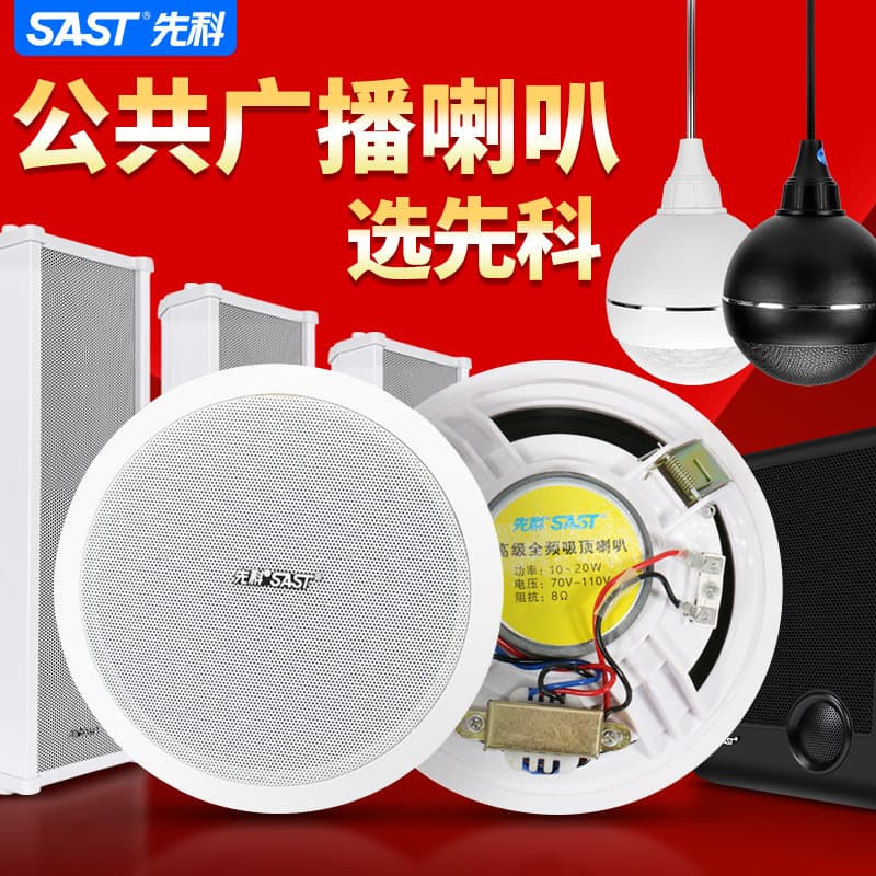 Xianke Ceiling Mount, Wall Mount, Coaxial, Ball, Waterproof Sound Column, Ceiling Wireless Speaker, Embedded Constant Voltage Speaker