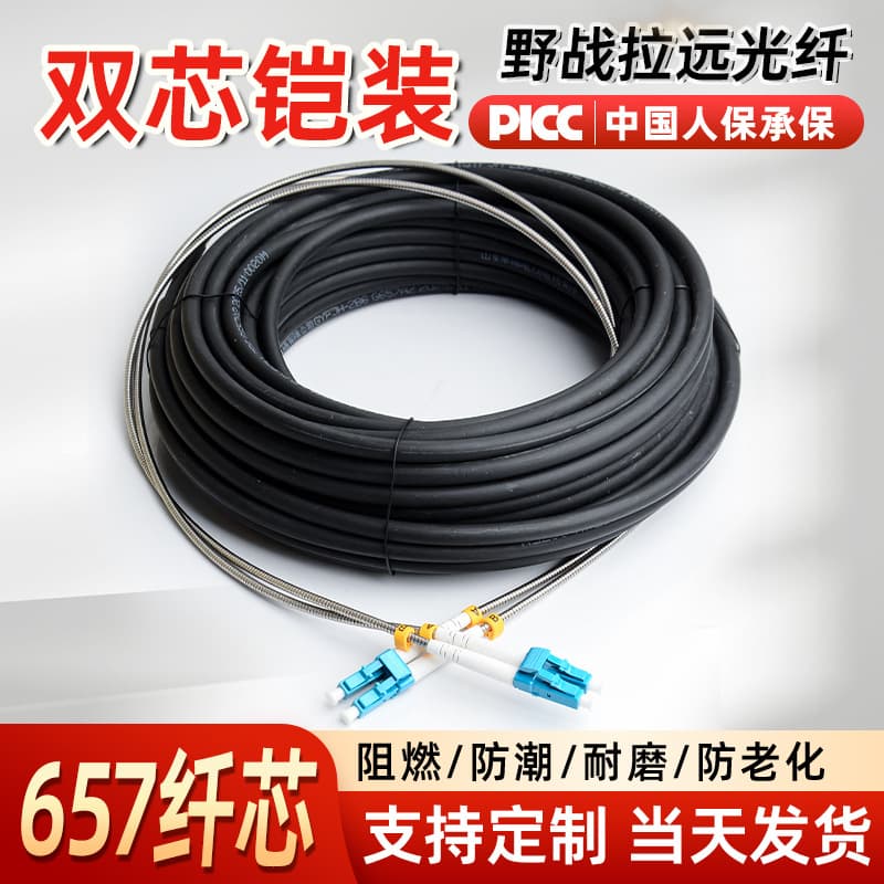 Field Optical Cable Extension Fiber Patch Cord Single Mode 2-Core 4-Core Armored Outdoor Fiber Patch Cord Base Station LC