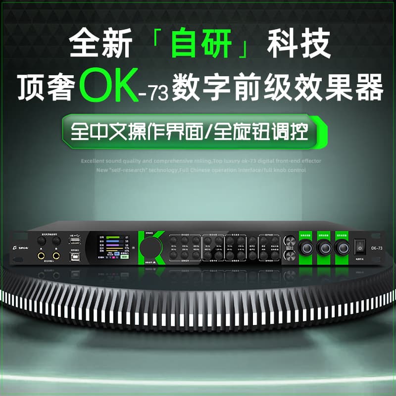 Professional preamp effect digital reverb for home and stage performance, Bluetooth equalizer anti-feedback audio processor.